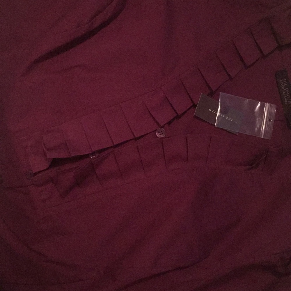 🆕The Limited plum blouse with tag! - Picture 2 of 2